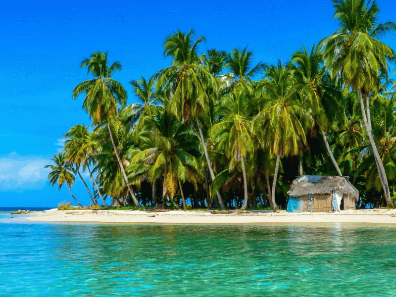Palmenstrand in Panama