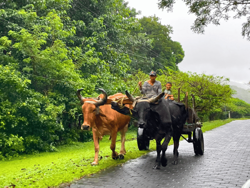 Karren in Ometepe in Nicaragua