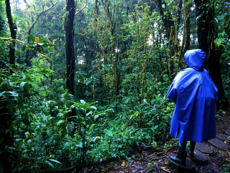 Dschungelwanderung im Regen