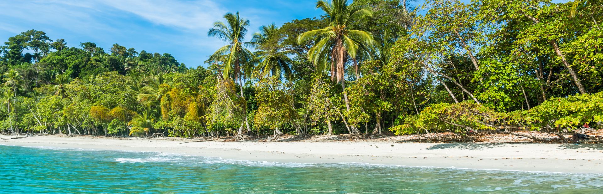 Strand im Manuel Antonio Nationalpark