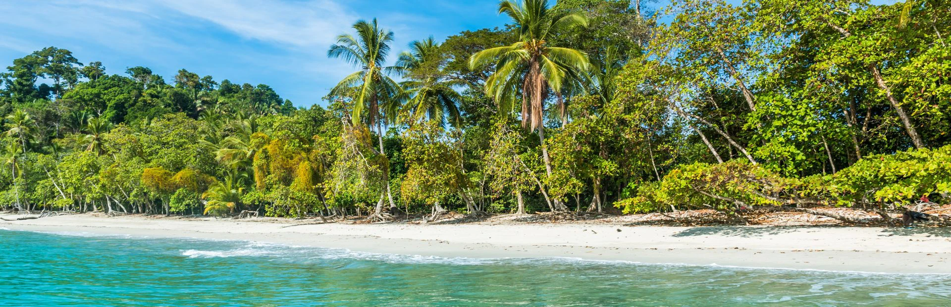 Strand im Manuel Antonio Nationalpark