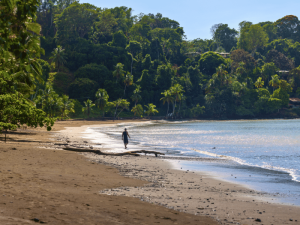 Mann spaziert am Strand der Drake Bay