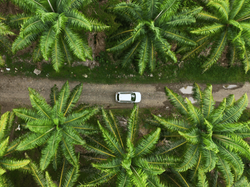 Kleine Straße in der Nähe des Manuel Antonio Nationalparks
