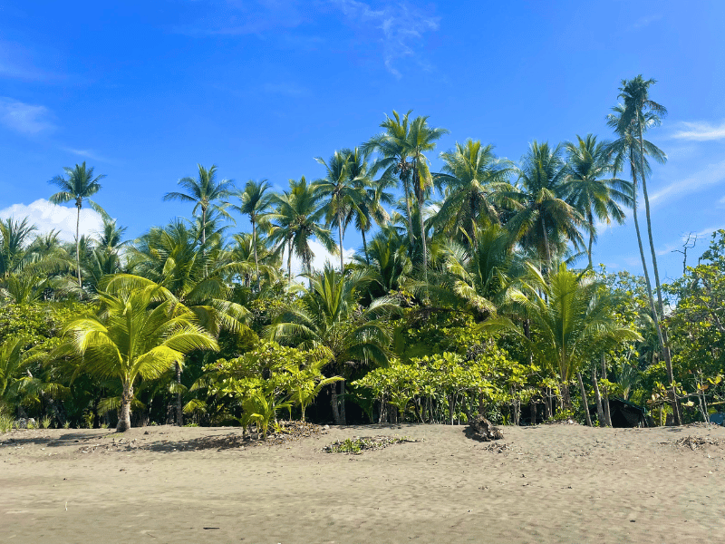 Matapalo Beach