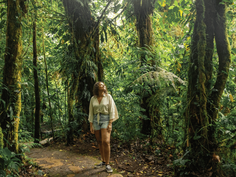 Frau im Nebelwald von Monteverde