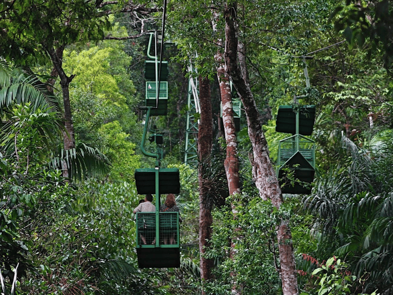 Aerial Tram der Unterkunft im Gamboa Reservat