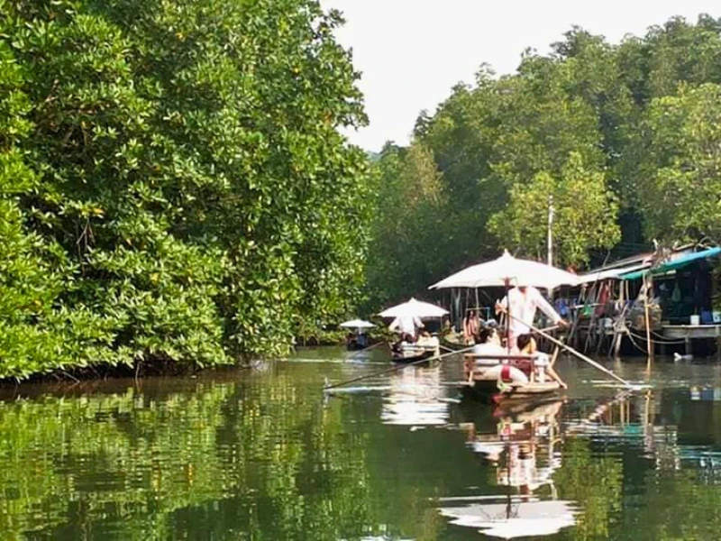 Gondeln in den Kanälen des Mangrovenwaldes auf Koh Chang in Thailand