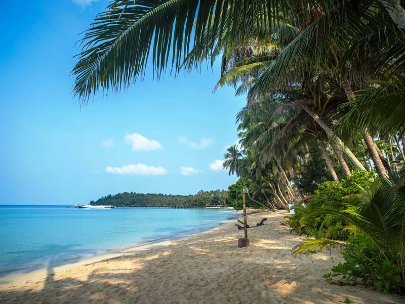 Strand mit Palmen auf der Insel Koh Kood in Thailand