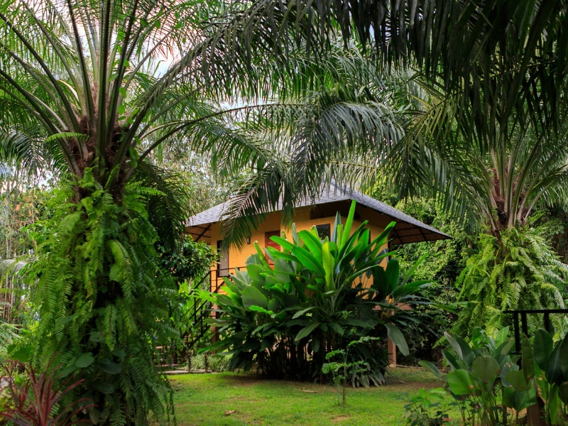 Bungalow im Garten Khao Sok in Khao Sok