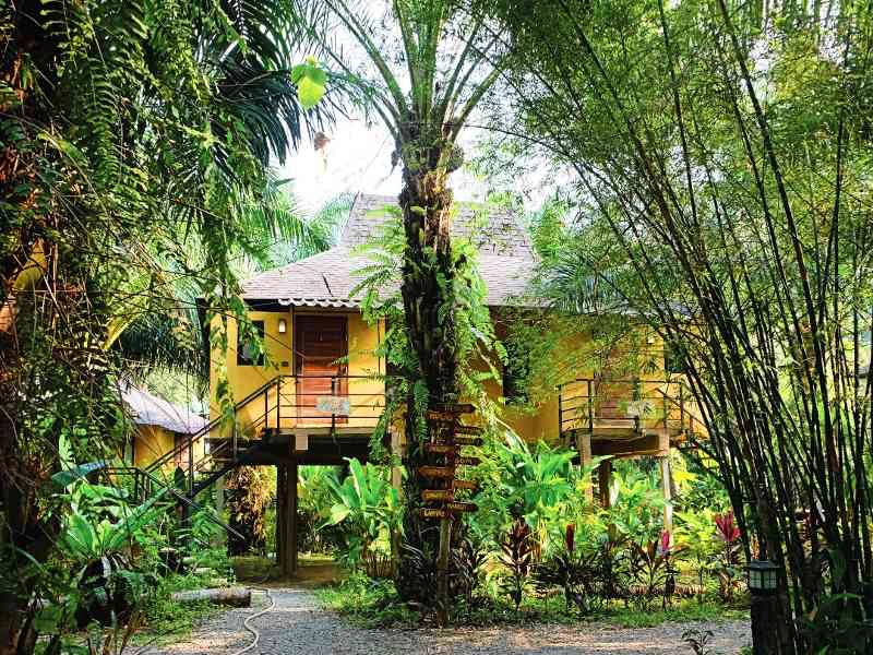Lodge im Khao Sok in Thailand