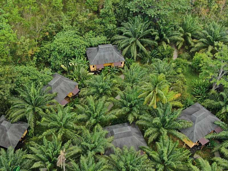 Lodge inmitten vom Dschungel im Khao Sok Thailand