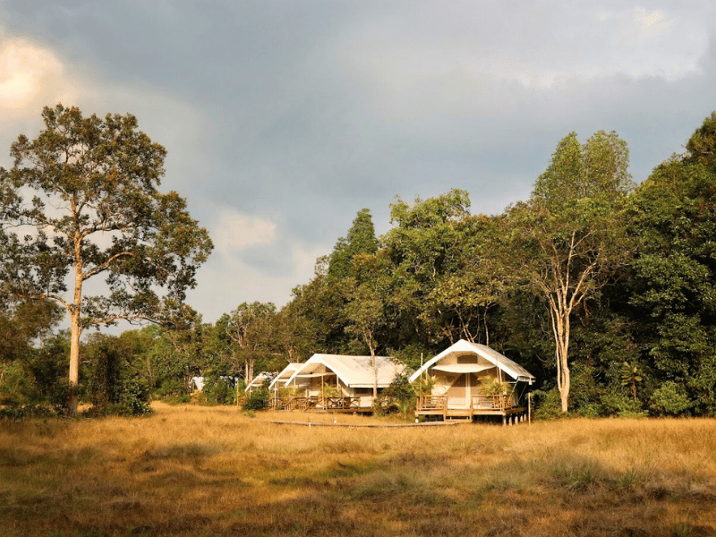 Zelte in der Landschaft im Cardamom Tented Camp Kambodscha