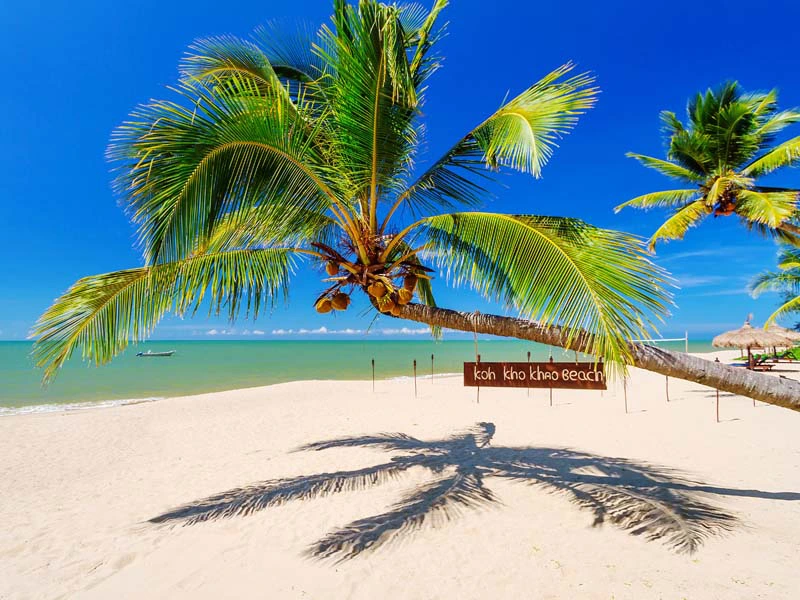 Strand mit Palme auf Koh Kho Khao in Thailand