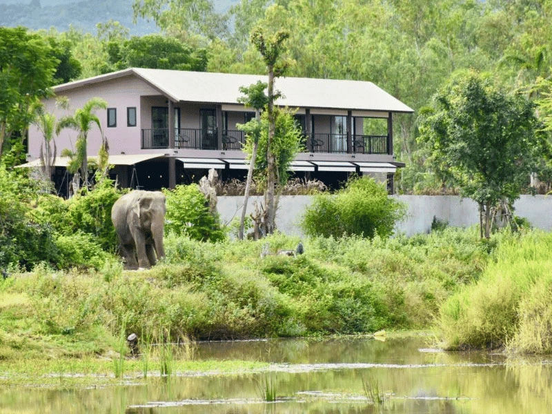 Unterkunft der Wildlife Friends Foundation in Thailand