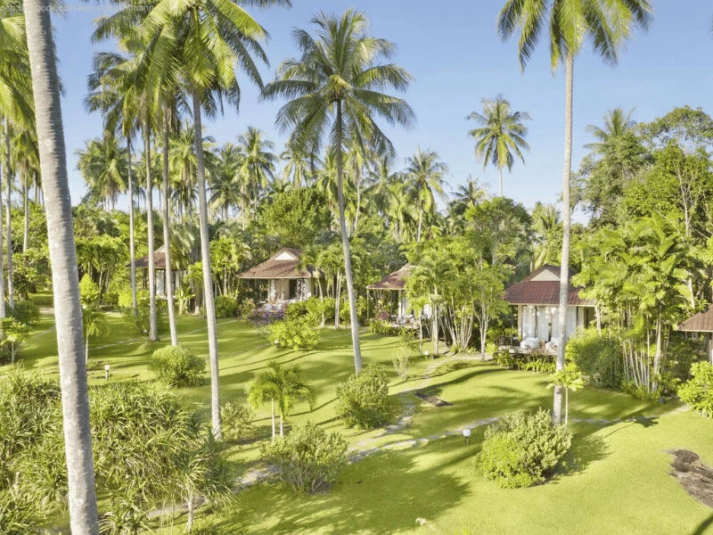 Hotel im Grünen auf Koh Kood Thailand