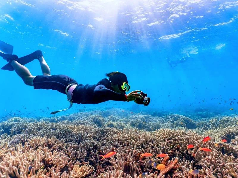 Mann fotografiert Korallen unter Wasser in Thailand