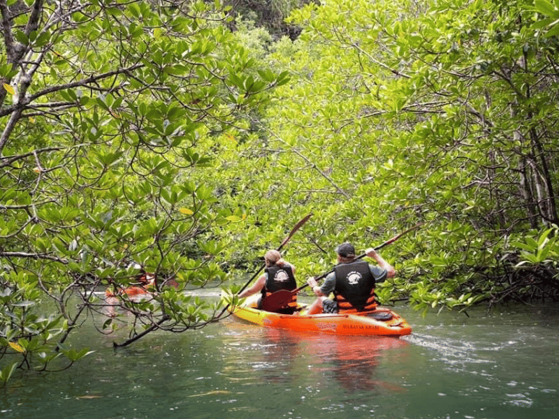 Touristen beim Kajaken zwischen Mangroven bei Krabi, Thailand