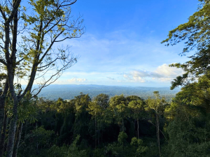 Berge im Khao Yai Nationalpark in Thailand