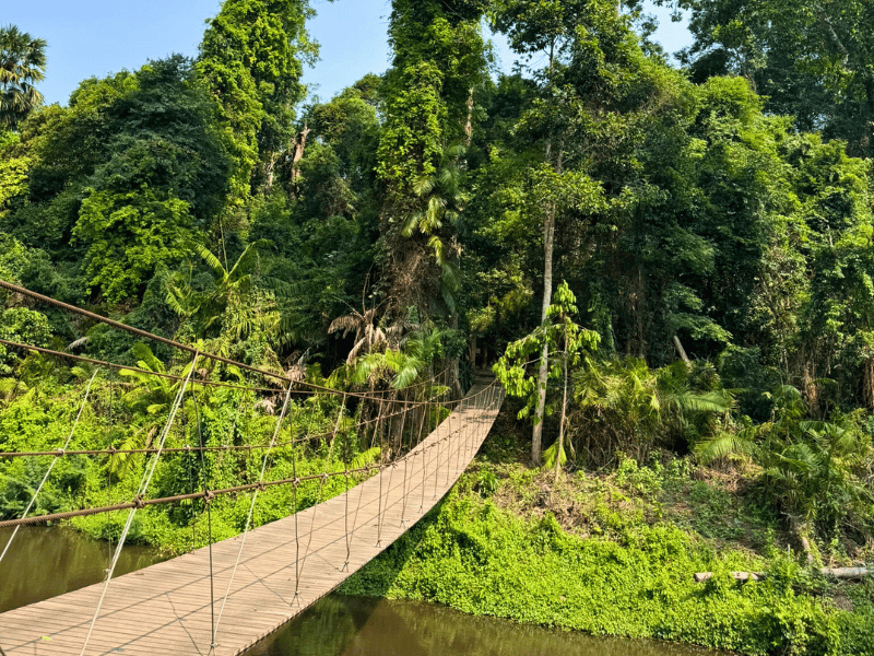 Felsen im Khao Yai Nationalpark in Thailand