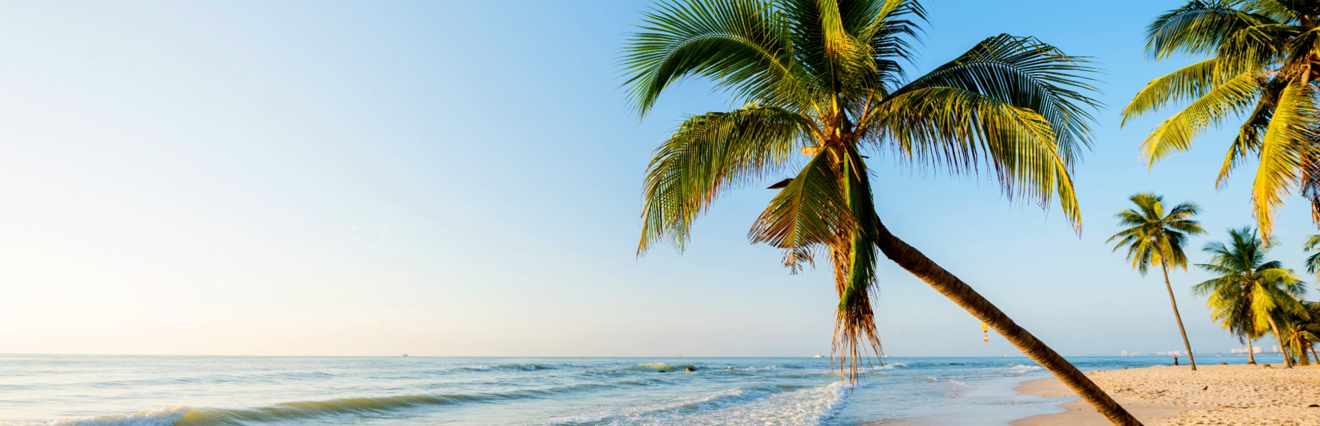 Palme am Strand von Hua Hin in Thailand
