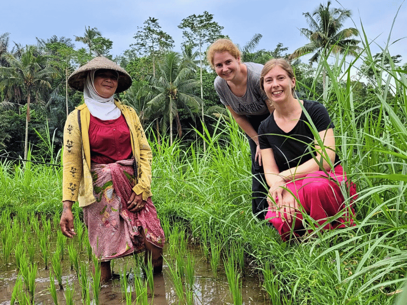 Touristen mit einer einheimischen Frau auf einem Reisfeld auf Lombok
