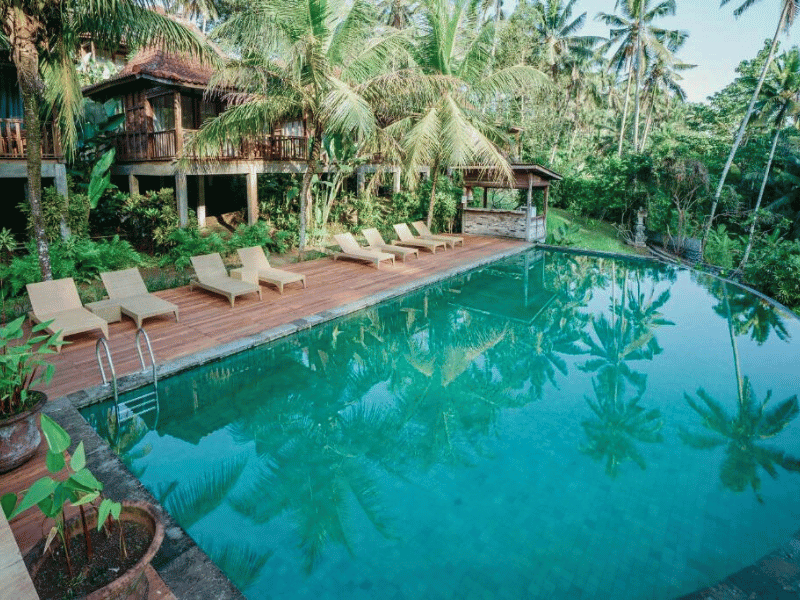 Hotelpool zwischen den Reisfeldern in Ubud auf Bali