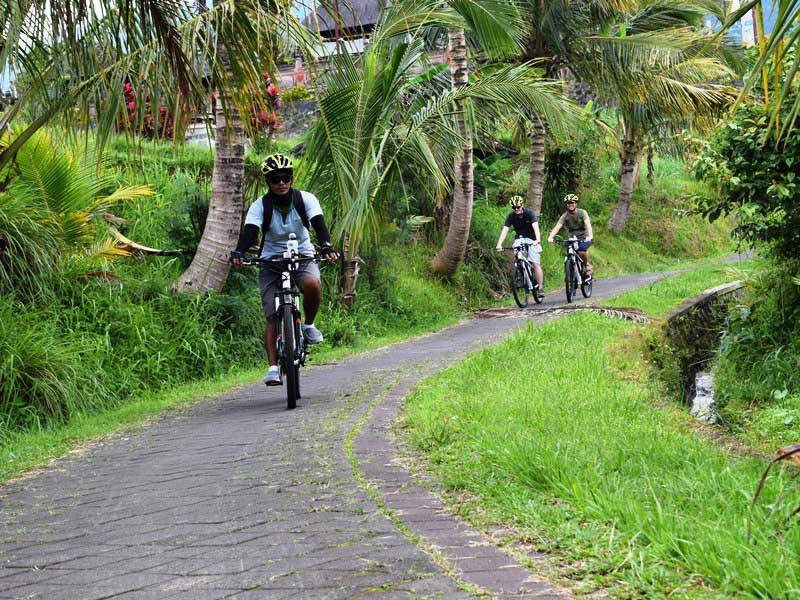 Fahrradtour mit Guide in Jatiluwih