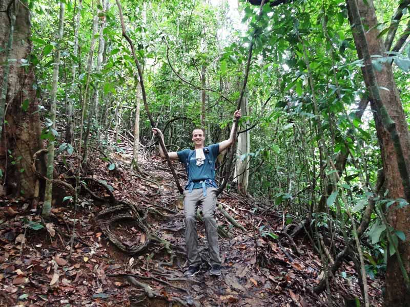 Schaukeln auf Lianen im Dschungel von Bukit Lawang