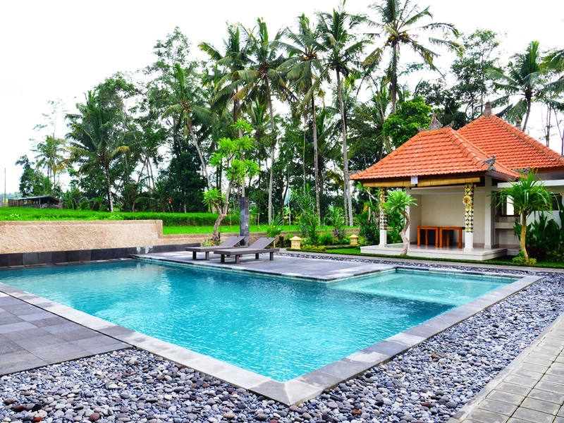 Entspannung im Pool des Budgethotels Ubud