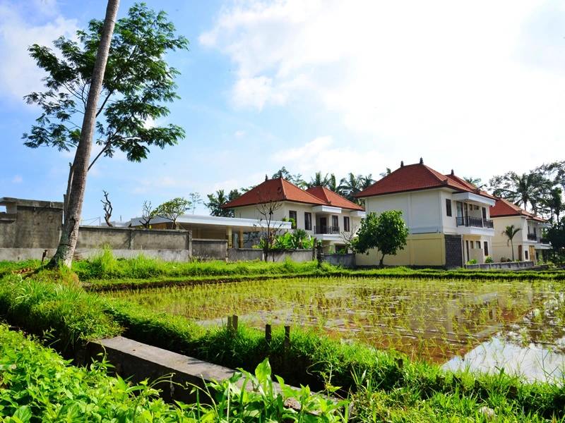 Budgethotel in Ubud umgeben von Reisfeldern