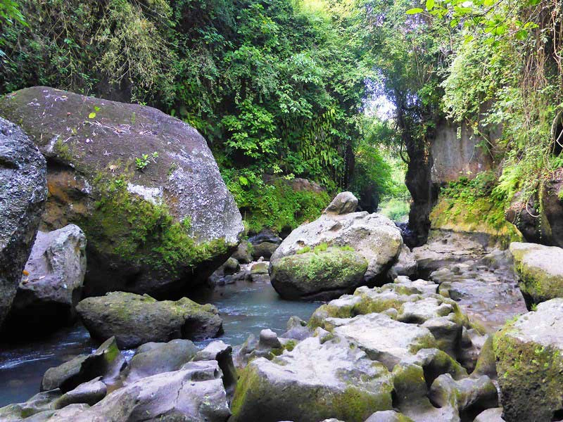 Nahezu unberührte Natur im Canyon Beji Guwang