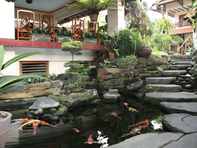 Wissenswertes Indonesien