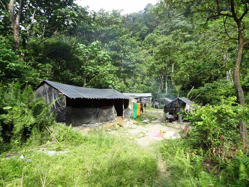 Mitten in der Natur: Zeltcamp Bukit Lawang