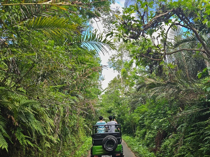 Jeep fährt durch den grünen Dschungel auf Bali