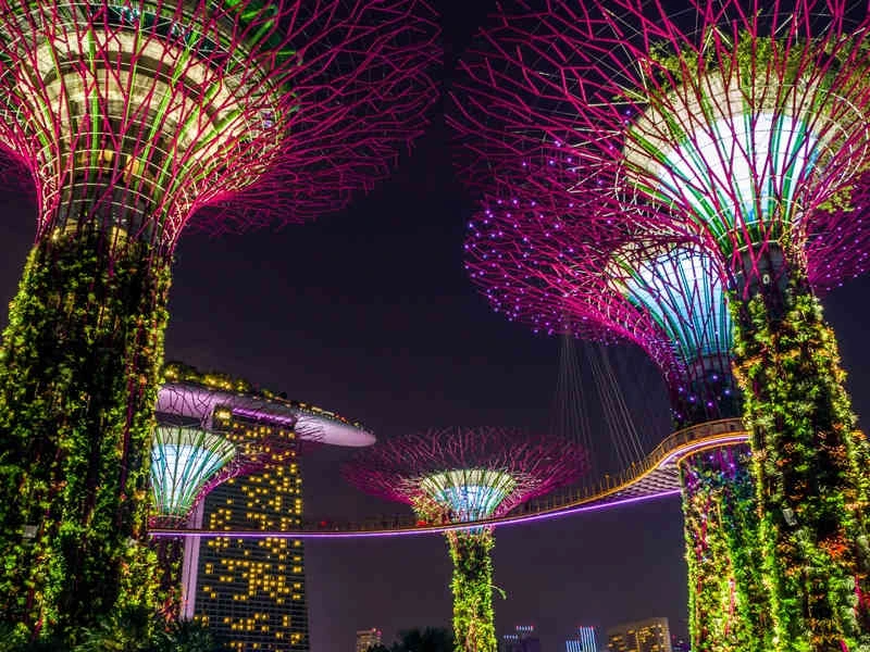 Gardens by the Bay bei Nacht
