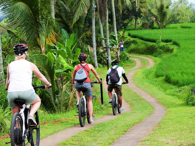 E-bike Fahrradtour bei Jatiluwih auf Bali