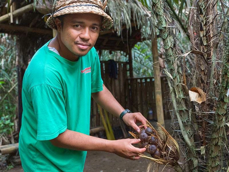 Guide mit Salak Frucht in der Hand in Sibetan auf Bali