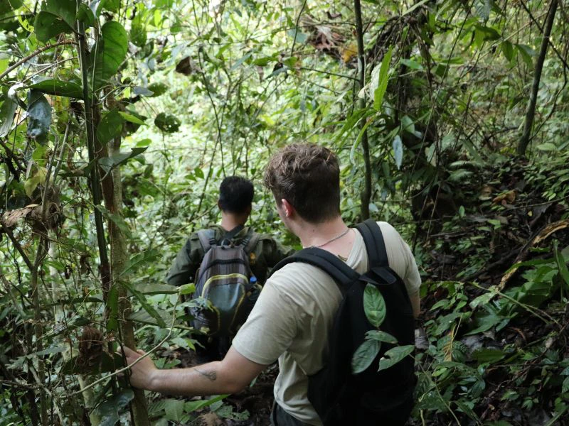 Wanderung durch den Regenwald in Tangkoko auf Nord Sulawesi in Indonesien