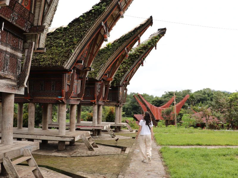 Toraja op Sulawesi