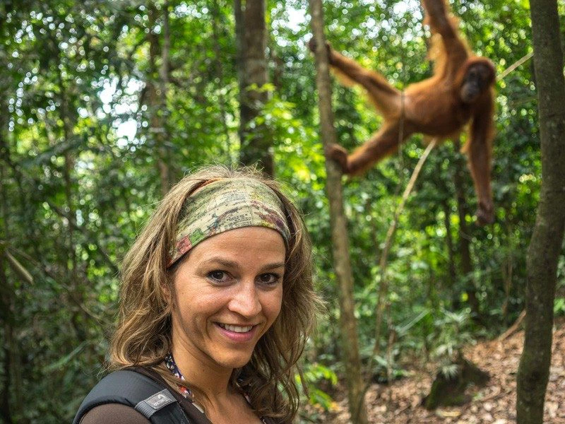 Reisende im Dschungel in Bukit Lawang mit einem Orang Utan im Hintergrund zwischen den Bäumen