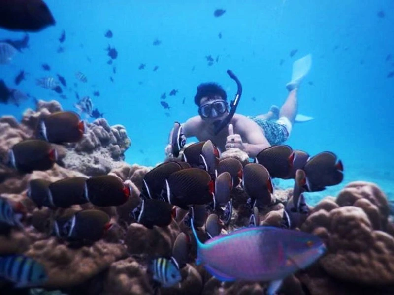 Mann beim Schnorcheln mit bunten Fischen auf Pulau Weh in Sumatra, Indonesien