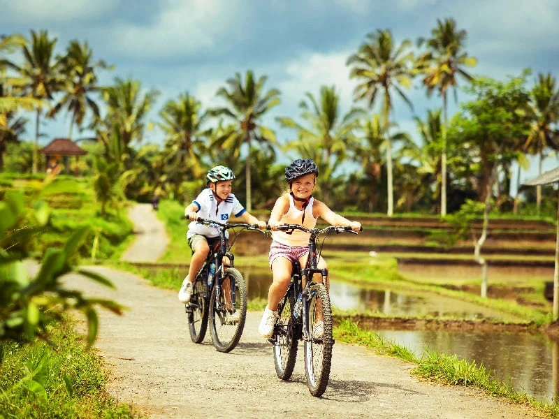 Radtour mit der Familie durch Reisfelder in Indonesien