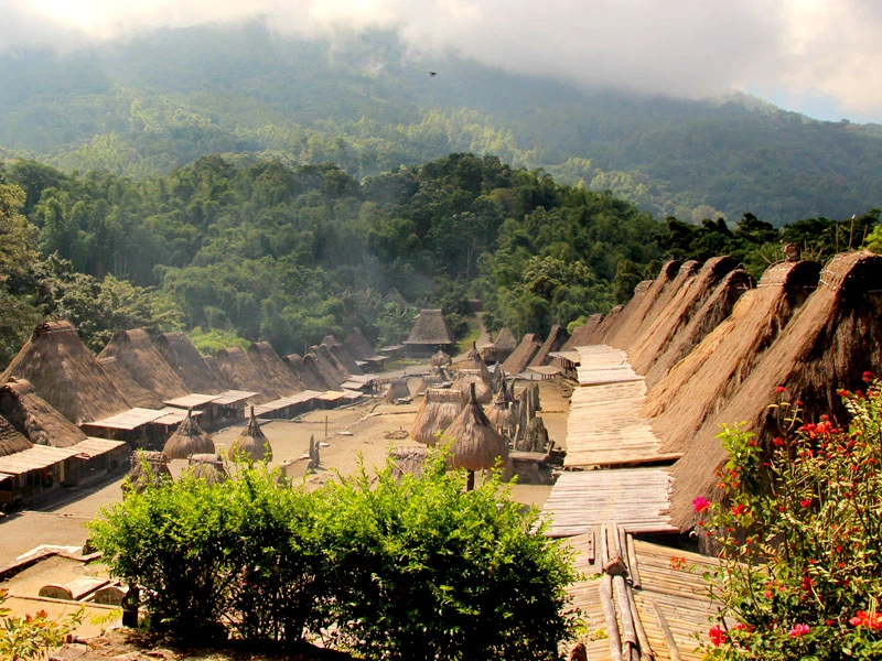Besuch eines traditionellen Dorfes in Flores