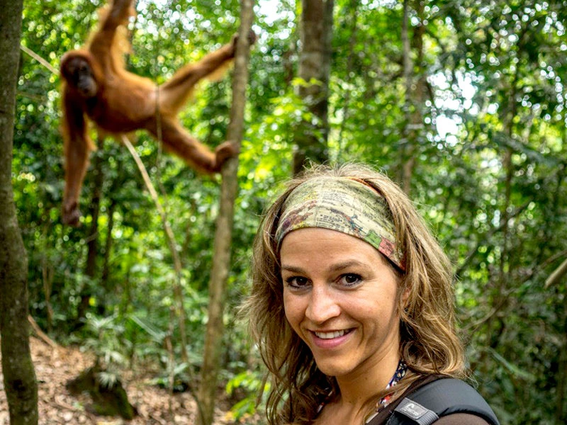 Touristin trifft im Dschungel auf Orang Utan