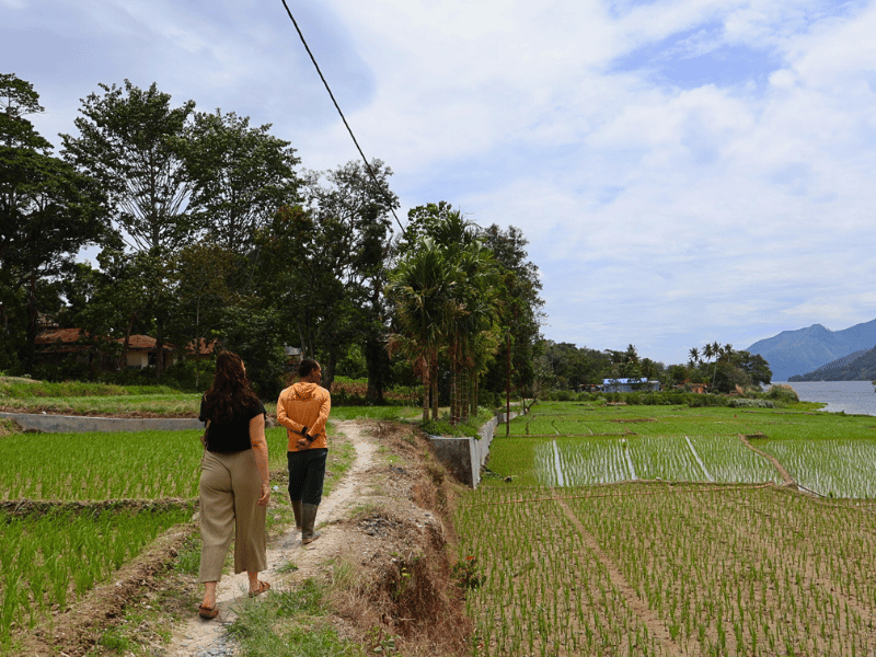 Touristin mit Guide an den Reisfeldern im Batak-Dorf in Samosir, Indonesien