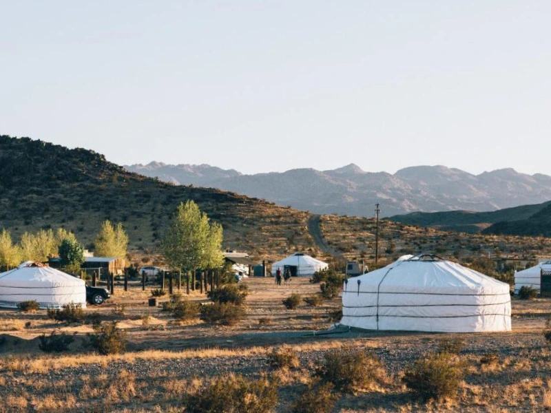 Panorama, Jurte beim Joshua Tree