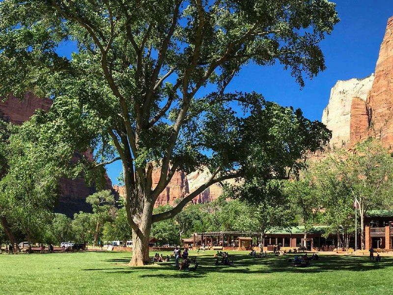 Blick auf Wiese, Lodge im Zion Nationalpark