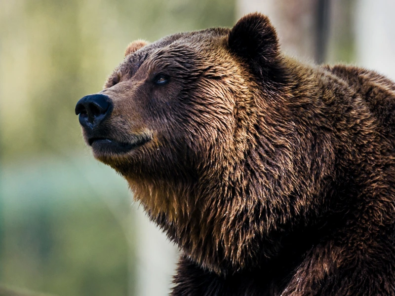 usa reisen amerika urlaub nationalparks