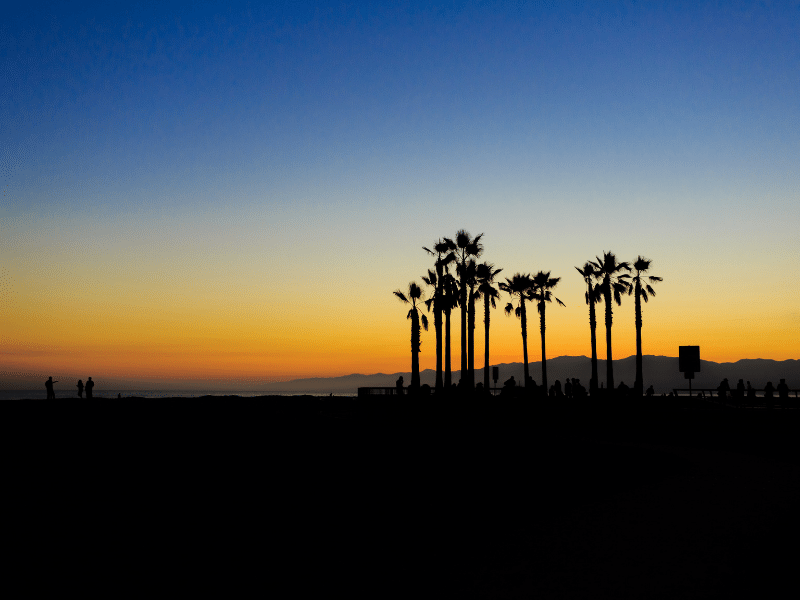 Sonnenuntergang über den Palmen vom Venice Beach in den USA