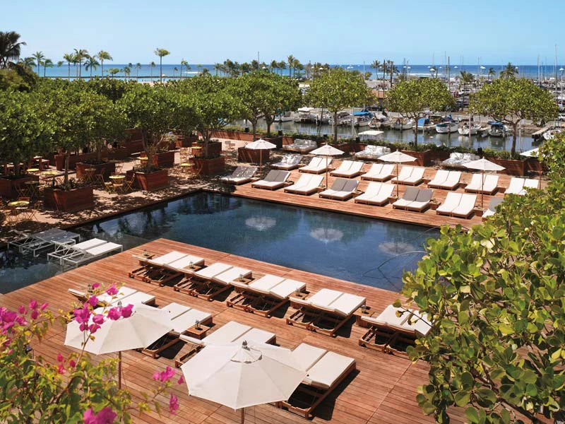 Der Pool der Unterkunft